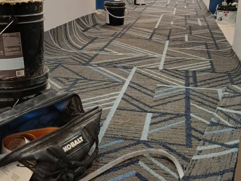 Carpet